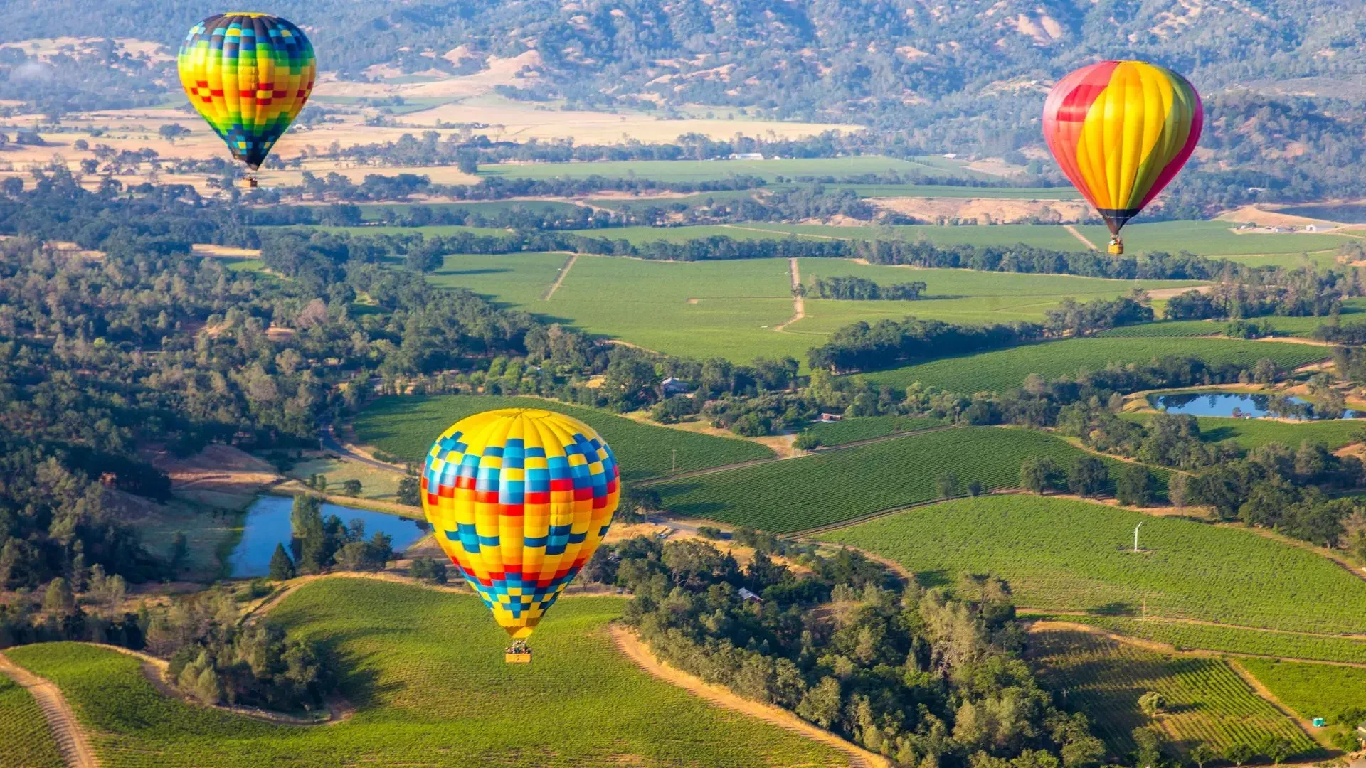 Le mongolfiere decollano a Pleasant Hill, California